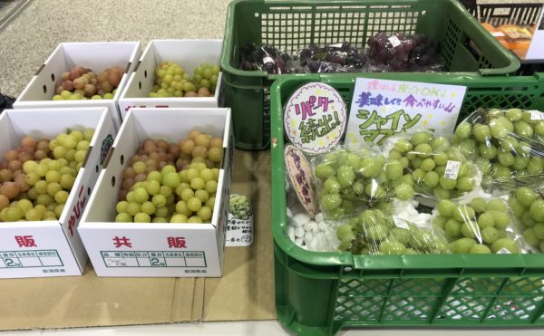 弥彦のヤホール　直売所もみじ